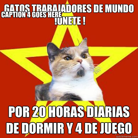 gatos trabajadores de mundo
 !unete ! por 20 horas diarias de dormir y 4 de juego Caption 3 goes here Caption 4 goes here  Lenin Cat