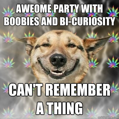 aweome party with boobies and bi-curiosity can't remember a thing  Stoner Dog