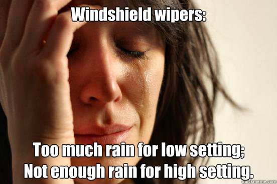 Windshield wipers: Too much rain for low setting;
Not enough rain for high setting.  First World Problems