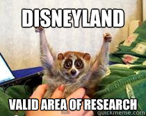 Disneyland valid area of research  
