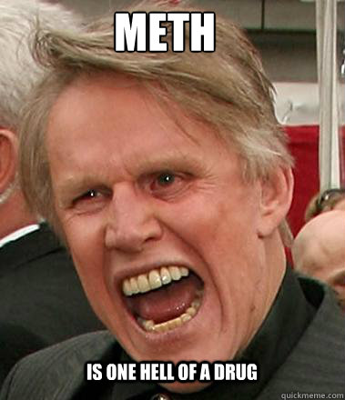 METH IS ONE HELL OF A DRUG  Gary Busey