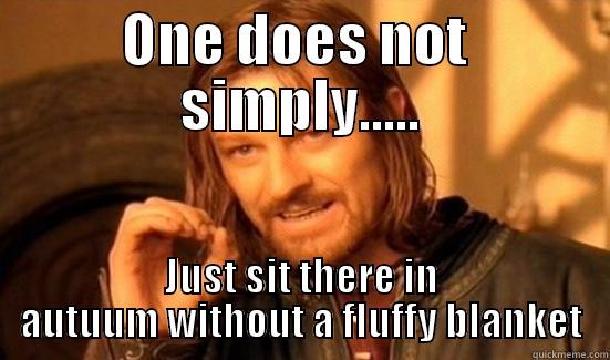 ONE DOES NOT  SIMPLY..... JUST SIT THERE IN AUTUUM WITHOUT A FLUFFY BLANKET Boromir