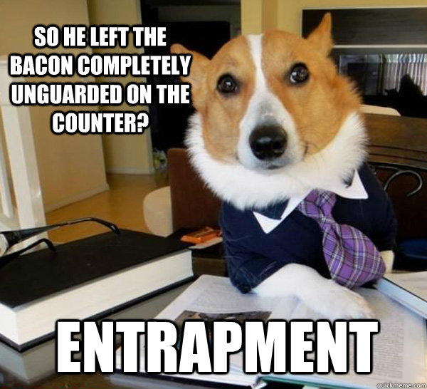 SO HE left the bacon completely unguarded on the counter? ENTRAPMENT - SO HE left the bacon completely unguarded on the counter? ENTRAPMENT  Lawyer Dog