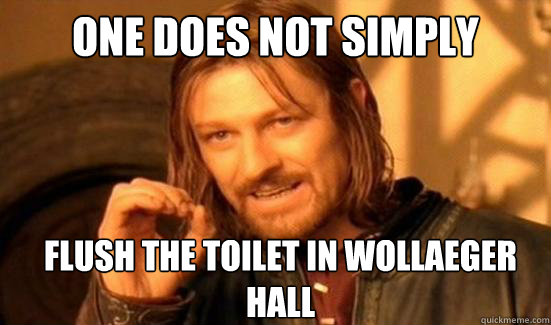 One Does Not Simply Flush the toilet In Wollaeger Hall  Boromir