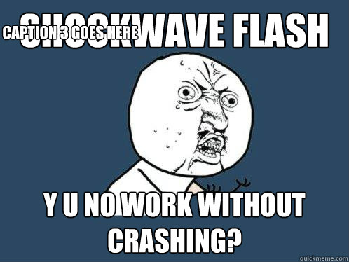Shockwave Flash y u no work without crashing? Caption 3 goes here  Y U No