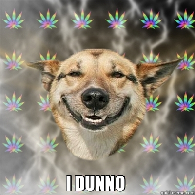  I DUNNO  -  I DUNNO   Stoner Dog
