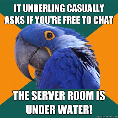 it underling casually asks if you're free to chat the server room is under water!  Paranoid Parrot