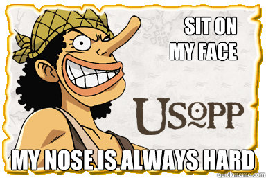 Sit on 
my face my nose is always hard - Sit on 
my face my nose is always hard  Ussop meme