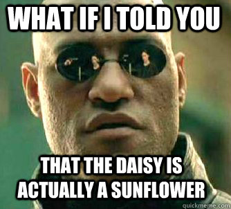 what if i told you That the daisy is actually a sunflower  Matrix Morpheus