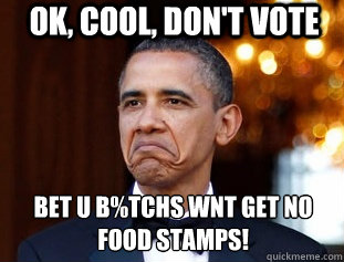 OK, COOL, DON'T VOTE BET U B%TCHS WNT GET NO FOOD STAMPS!  Not Bad Obama