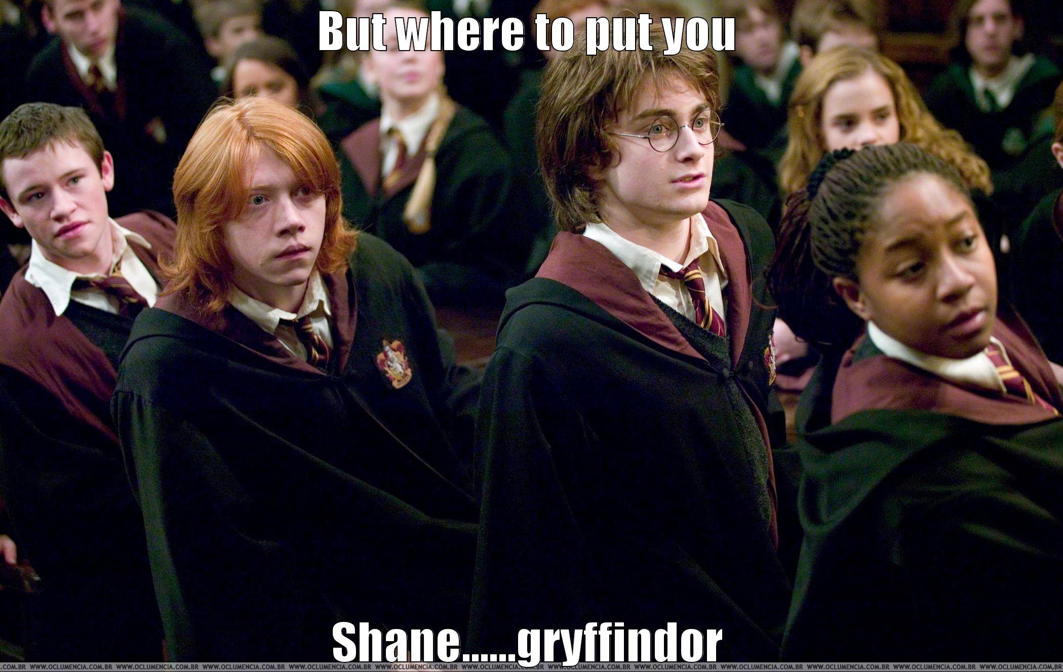 BUT WHERE TO PUT YOU SHANE......GRYFFINDOR Misc