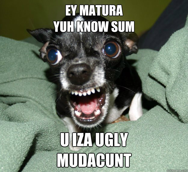 EY MATURA
YUH KNOW SUM U IZA UGLY 
MUDACUNT  Chihuahua Logic