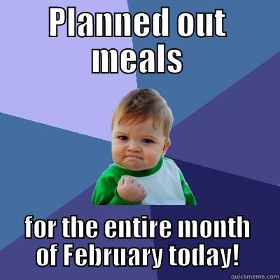 PLANNED OUT MEALS FOR THE ENTIRE MONTH OF FEBRUARY TODAY! Success Kid