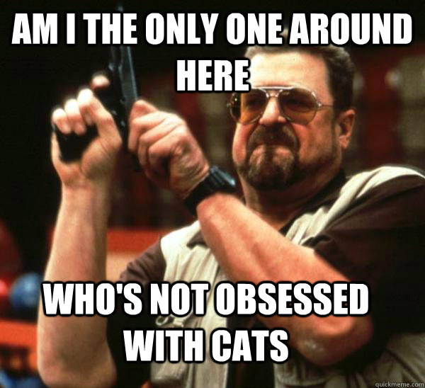 Am i the only one around here who's not obsessed with cats  Am I the only one backing France