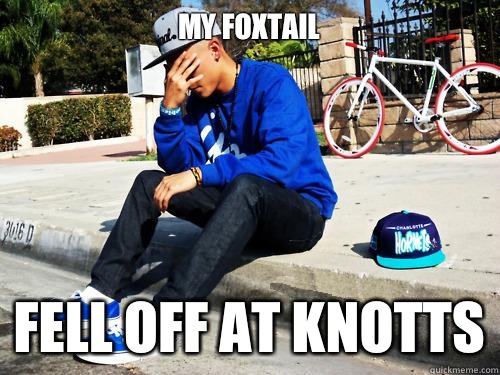 My foxtail Fell off at knotts  Sad Hypebeast