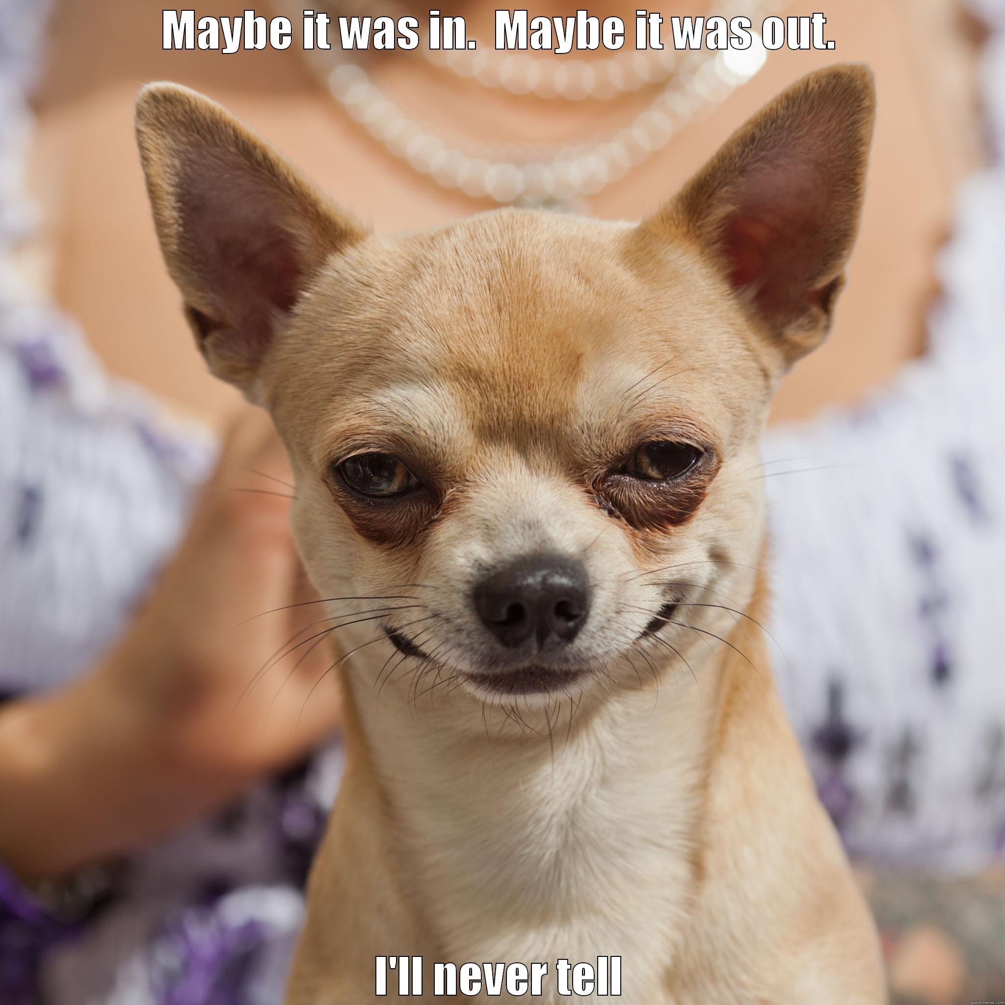 MAYBE IT WAS IN.  MAYBE IT WAS OUT. I'LL NEVER TELL Misc