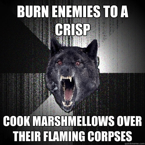 Burn enemies to a crisp cook marshmellows over their flaming corpses  Insanity Wolf