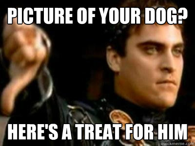 Picture of your dog? Here's a treat for him  Downvoting Roman