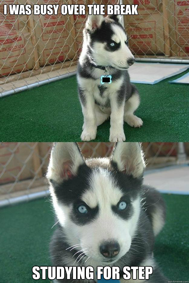 i was busy over the break studying for step  Insanity puppy
