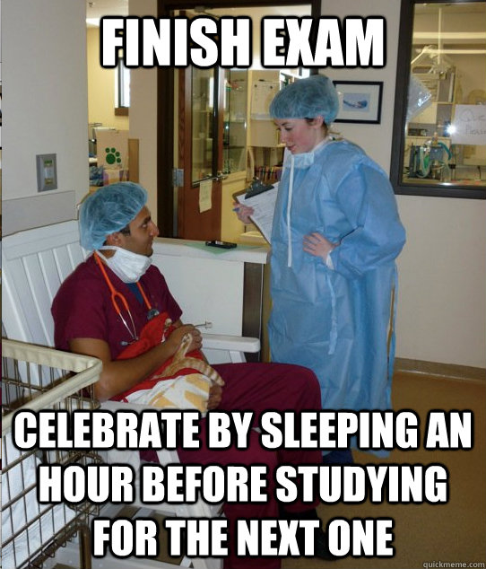 finish exam celebrate by sleeping an hour before studying for the next one  Overworked Veterinary Student