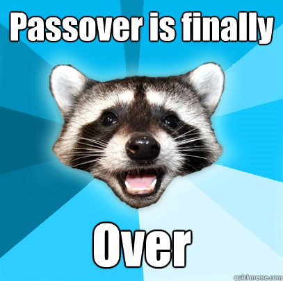 Passover is finally Over  Lame Pun Coon