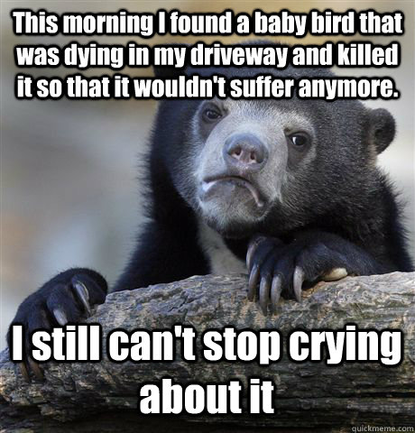 This morning I found a baby bird that was dying in my driveway and killed it so that it wouldn't suffer anymore. I still can't stop crying about it  Confession Bear