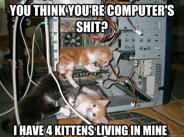 You think you're computer's shit? I have 4 kittens living in mine  