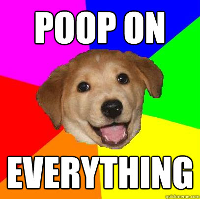 poop on everything  Advice Dog