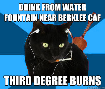drink from water fountain near berklee caf third degree burns  Socially Awkward Berklee Cat