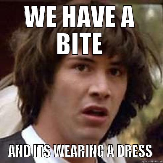 WE HAVE A BITE AND ITS WEARING A DRESS conspiracy keanu