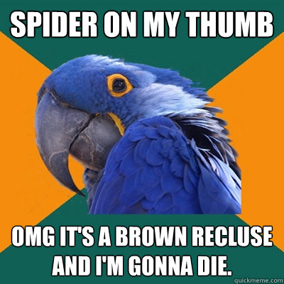 Spider on my thumb OMG IT'S A BROWN RECLUSE and I'm gonna die.  Paranoid Parrot