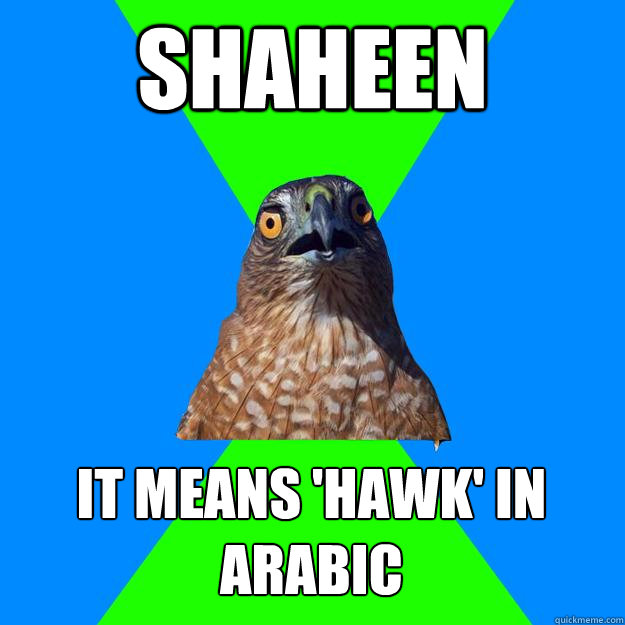 SHAHEEN IT MEANS 'HAWK' IN ARABIC  Hawkward