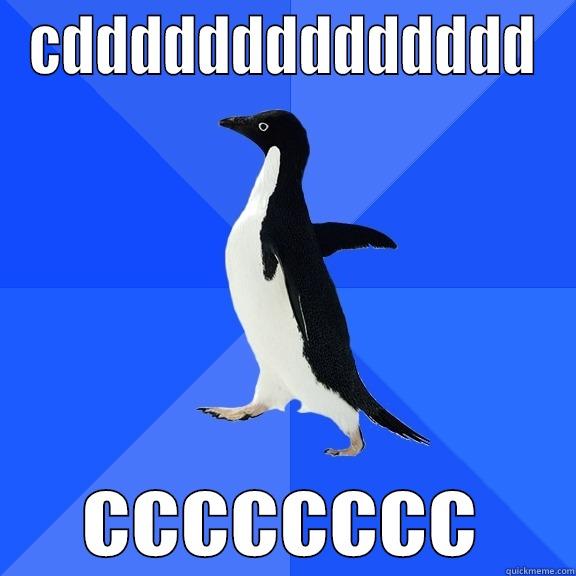 CDDDDDDDDDDDDDD CCCCCCCC Socially Awkward Penguin