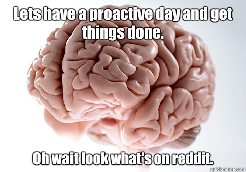 Lets have a proactive day and get things done.  Oh wait look what's on reddit.   Scumbag Brain