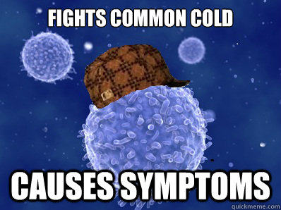 Fights common cold Causes symptoms  Scumbag immune system