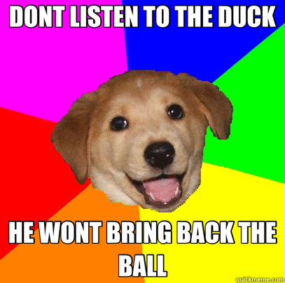 DONT LISTEN TO THE DUCK HE WONT BRING BACK THE BALL - DONT LISTEN TO THE DUCK HE WONT BRING BACK THE BALL  Advice Dog