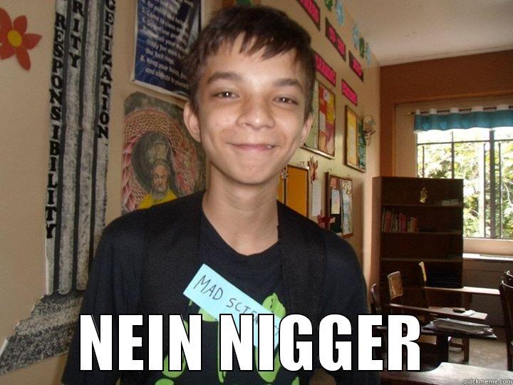 nein nigger meme -  NEIN NIGGER Misc
