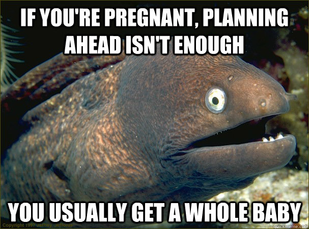 If you're pregnant, planning ahead isn't enough you usually get a whole baby - If you're pregnant, planning ahead isn't enough you usually get a whole baby  Bad Joke Eel
