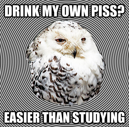 Drink my own piss? Easier than studying  