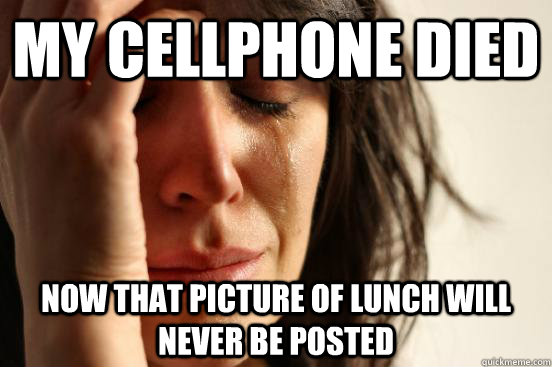 my cellphone died now that picture of lunch will never be posted  First World Problems