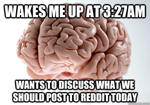 Wakes me up at 3:27am wants to discuss what we should post to reddit today  Scumbag Brain