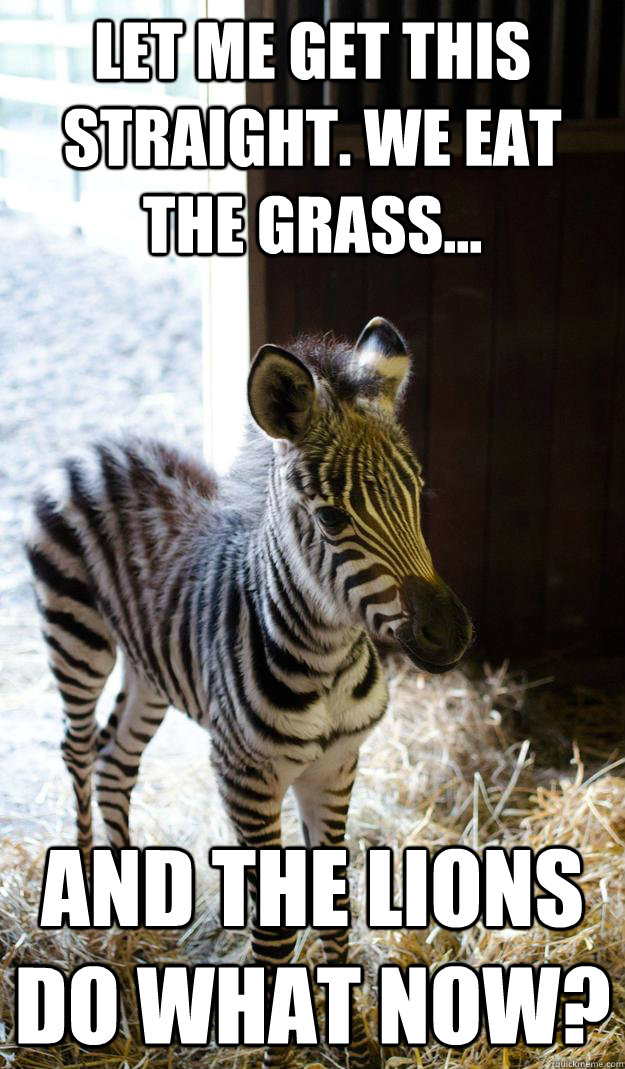 Let me get this straight. We eat the grass... And the lions do what now?  Lesson Zebra
