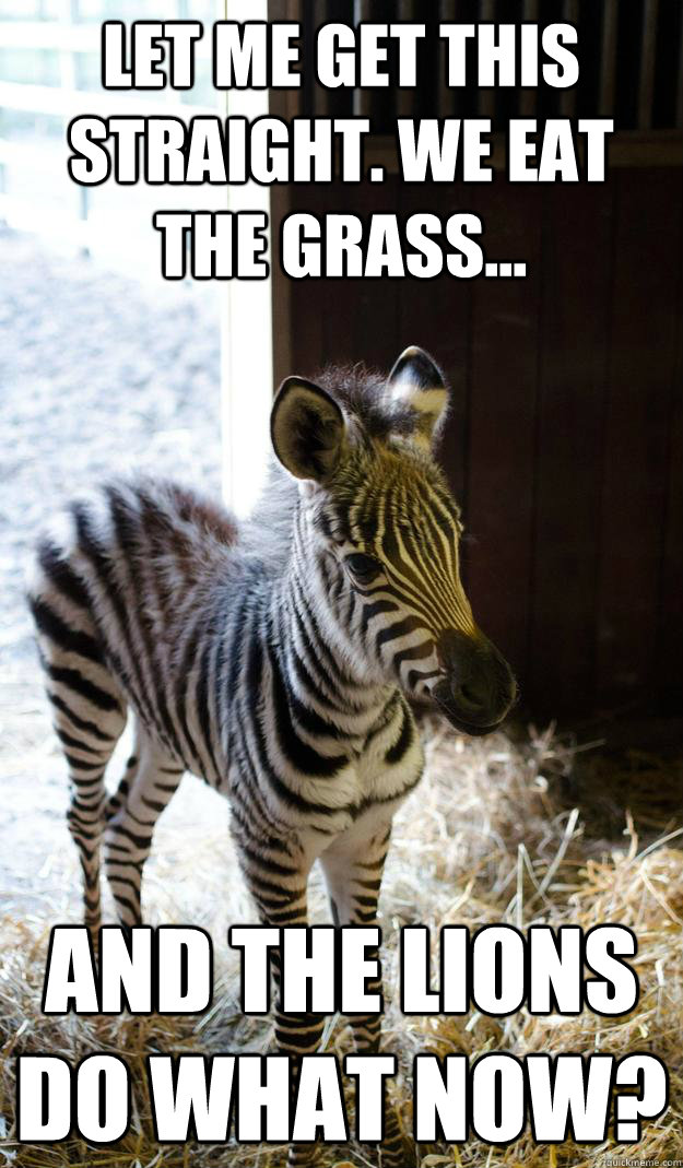 Let me get this straight. We eat the grass... And the lions do what now? - Let me get this straight. We eat the grass... And the lions do what now?  Lesson Zebra