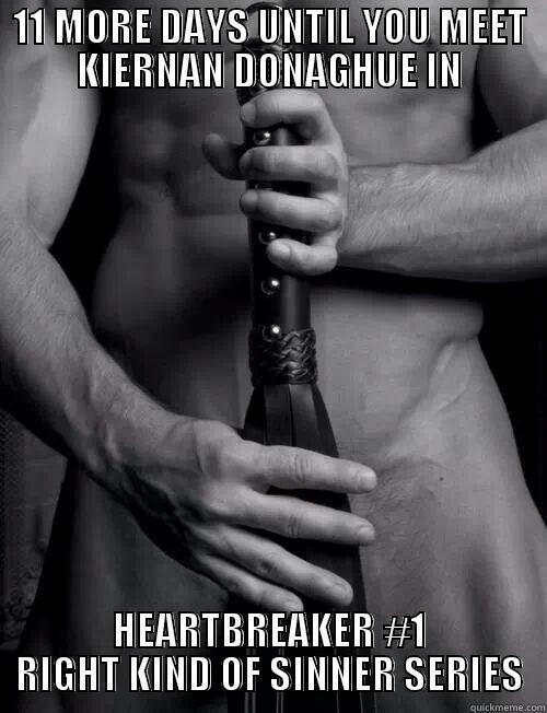 11 MORE DAYS UNTIL YOU MEET KIERNAN DONAGHUE IN HEARTBREAKER #1 RIGHT KIND OF SINNER SERIES Misc