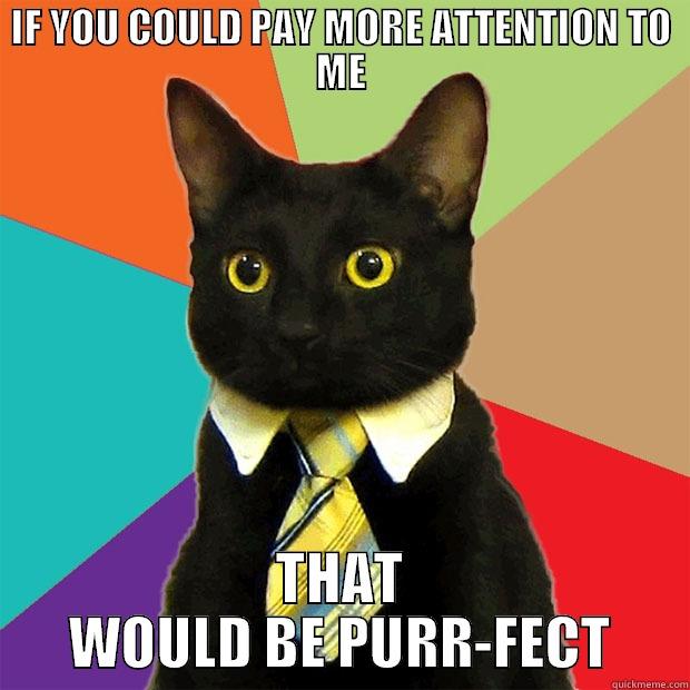IF YOU COULD PAY MORE ATTENTION TO ME THAT WOULD BE PURR-FECT Business Cat