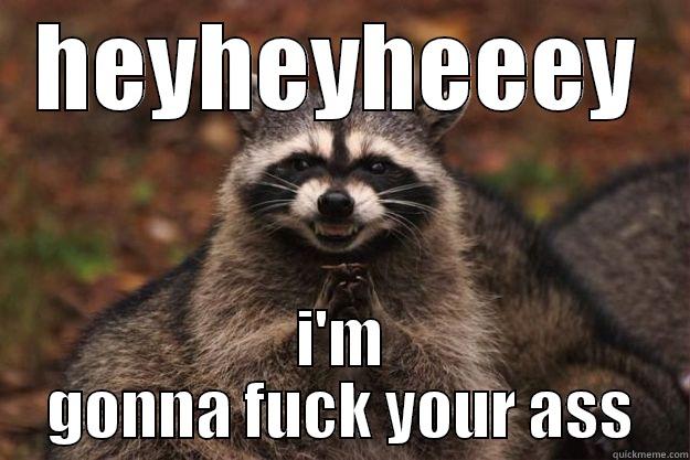HEYHEYHEEEY I'M GONNA FUCK YOUR ASS Evil Plotting Raccoon