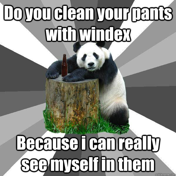 Do you clean your pants with windex Because i can really see myself in them  Pickup-Line Panda