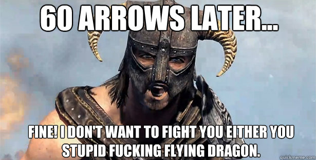 60 ARROWS LATER... Fine! I don't want to fight you either you stupid fucking flying dragon.  skyrim