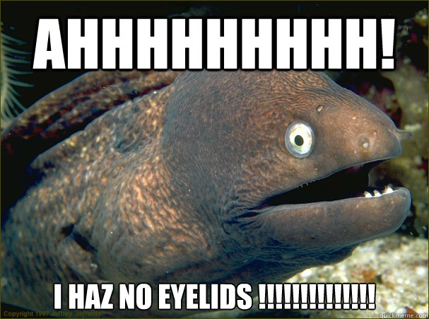 ahhhhhhhhh! i haz no eyelids !!!!!!!!!!!!!!  Bad Joke Eel