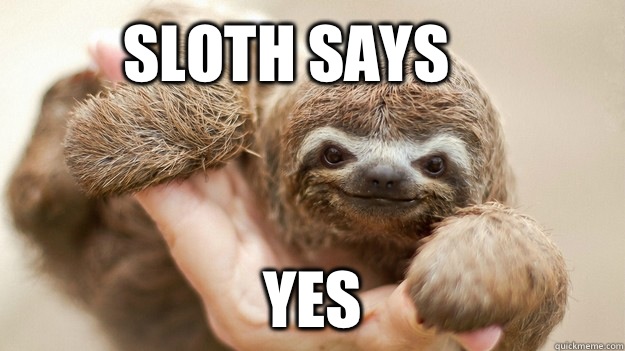 Sloth says  yes  